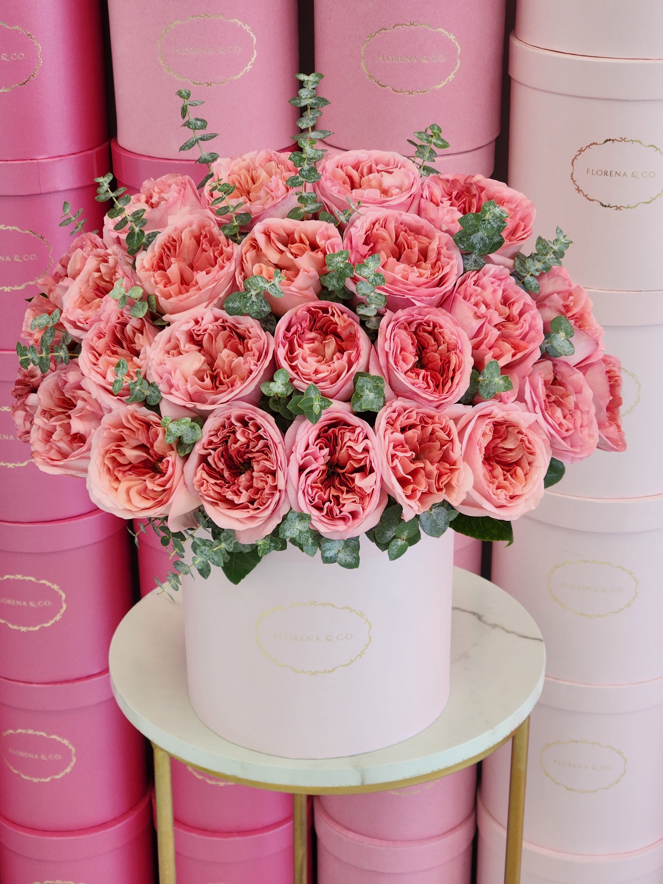 Gardenia