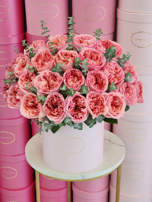 Gardenia