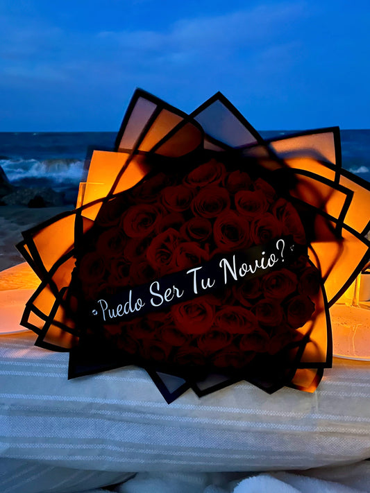 Puedo Ser Tu Novio?