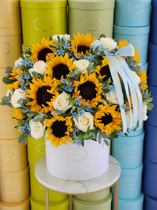 Sunflower Delight